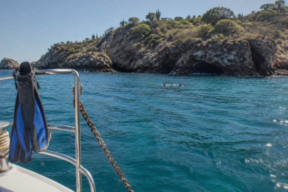 A tour boat anchored in clear blue water beside a rocky island shoreline
