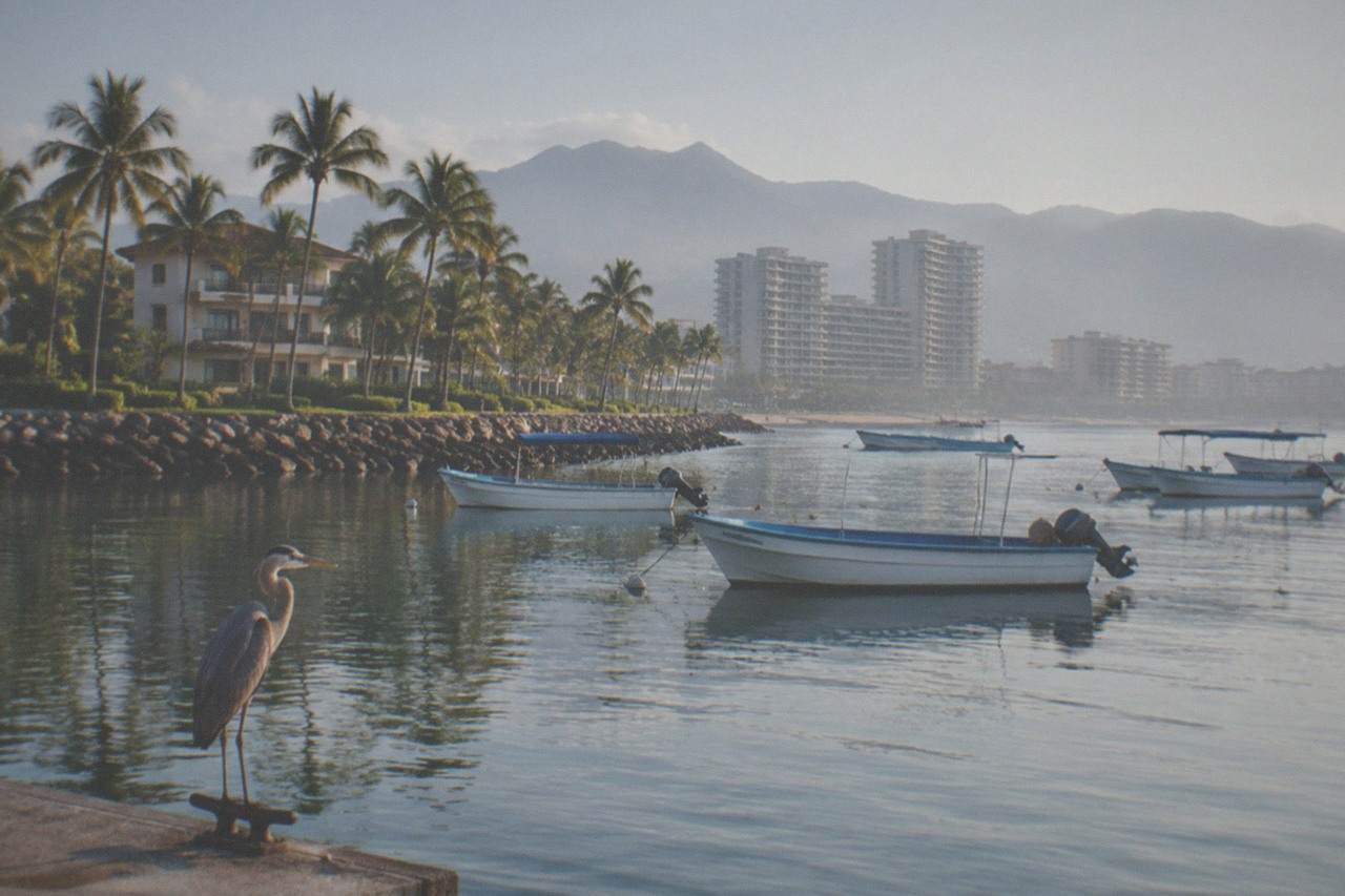 Calm resort coastline with palm trees and boats anchored in a protected bay at morning light