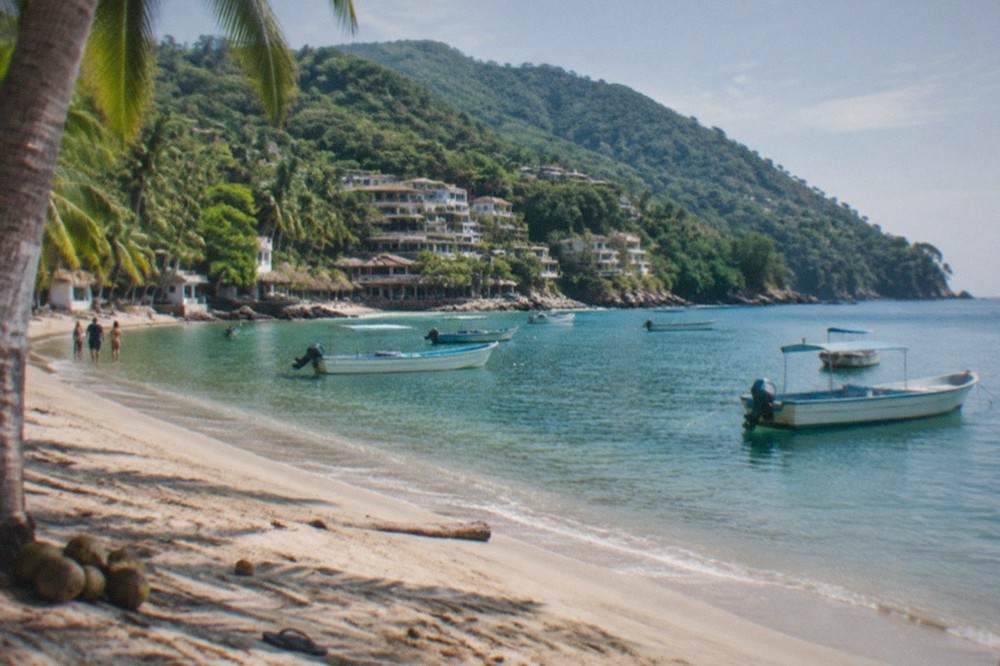 Palm-lined beach with calm turquoise water and green hills behind it