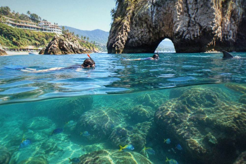 Snorkelers in clear water above a rocky reef with small fish visible