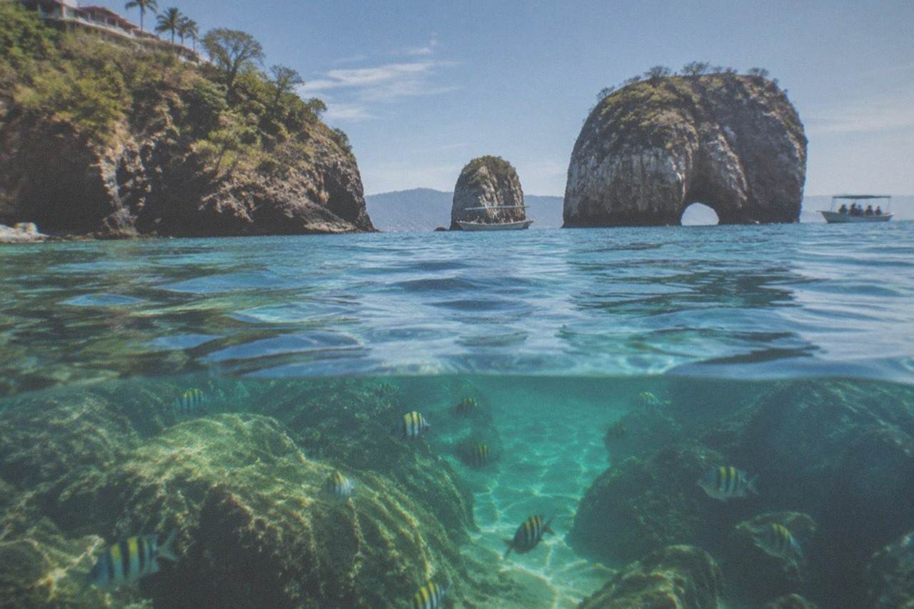 Clear turquoise water over a rocky reef with small tropical fish near the surface