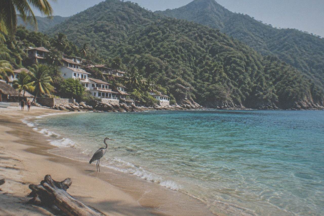 A quiet cove with clear turquoise water and jungle covered hills rising behind a small sandy beach