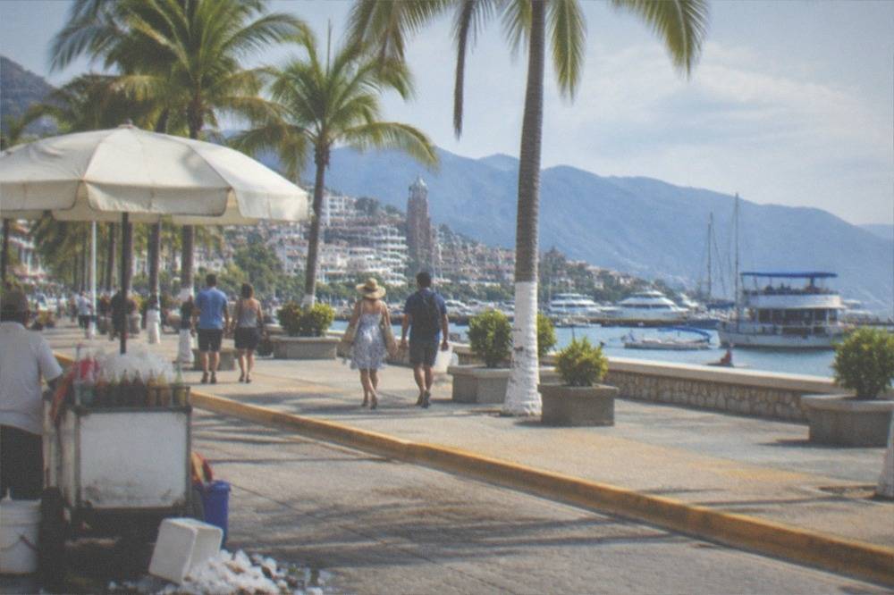 Busy seaside promenade with tour boats and palm trees along the waterfront