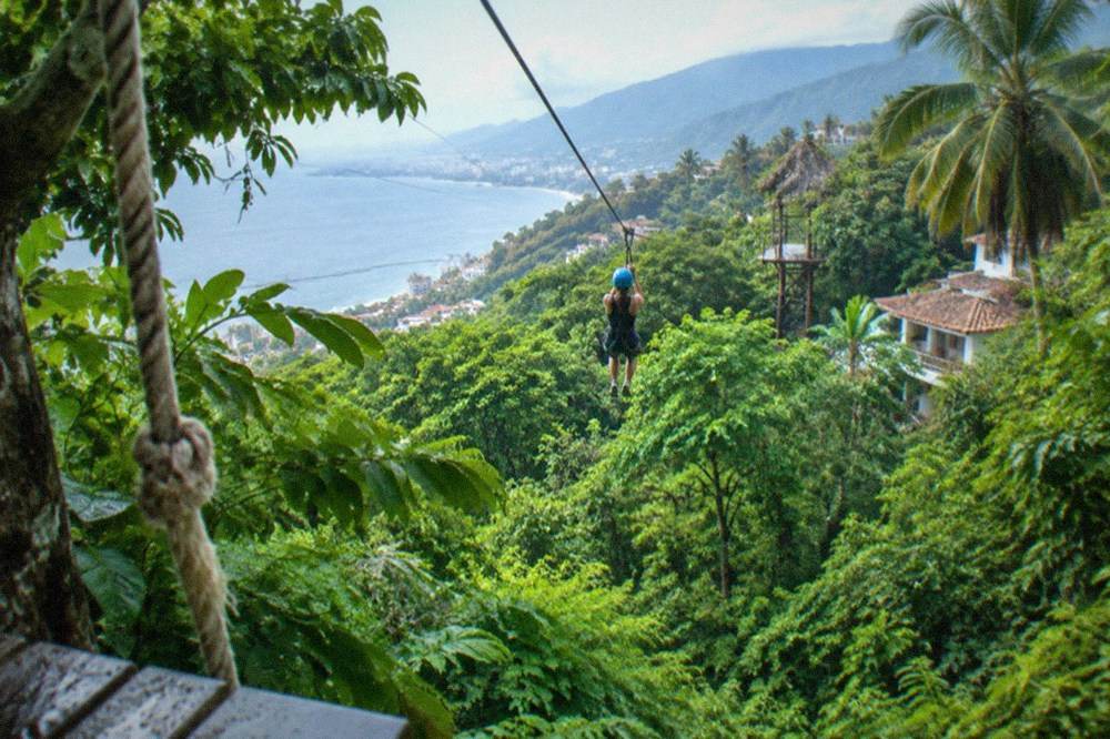 Zipline cables stretched through dense green jungle canopy on a mountainside