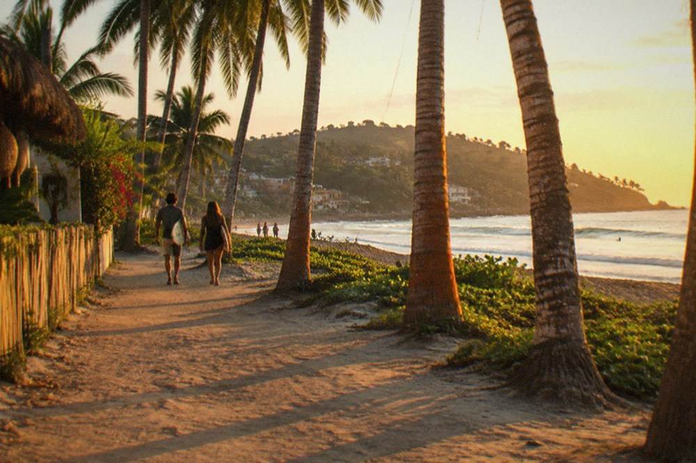 Surfers carrying boards along a beachfront path lined with palm trees in late afternoon light