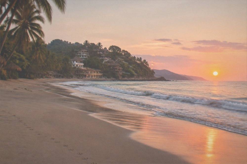 Palm trees leaning over an empty golden beach with small waves at sunrise