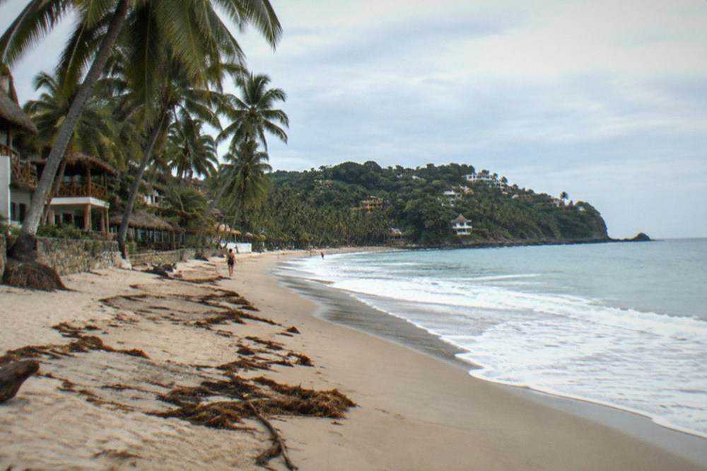 Palm trees leaning over an empty stretch of sand at the quiet end of a small bay