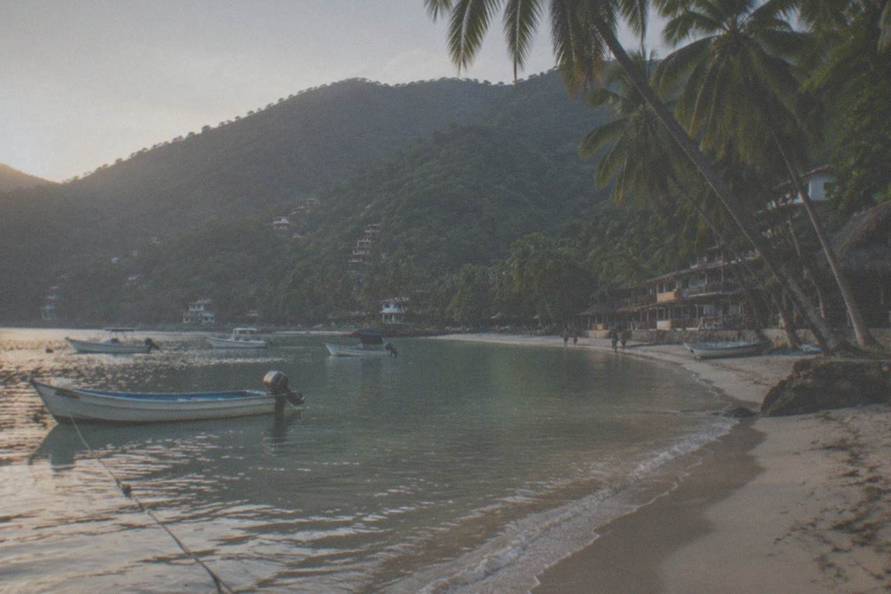 A quiet cove with a sandy beach, palm trees, and small boats anchored in calm water