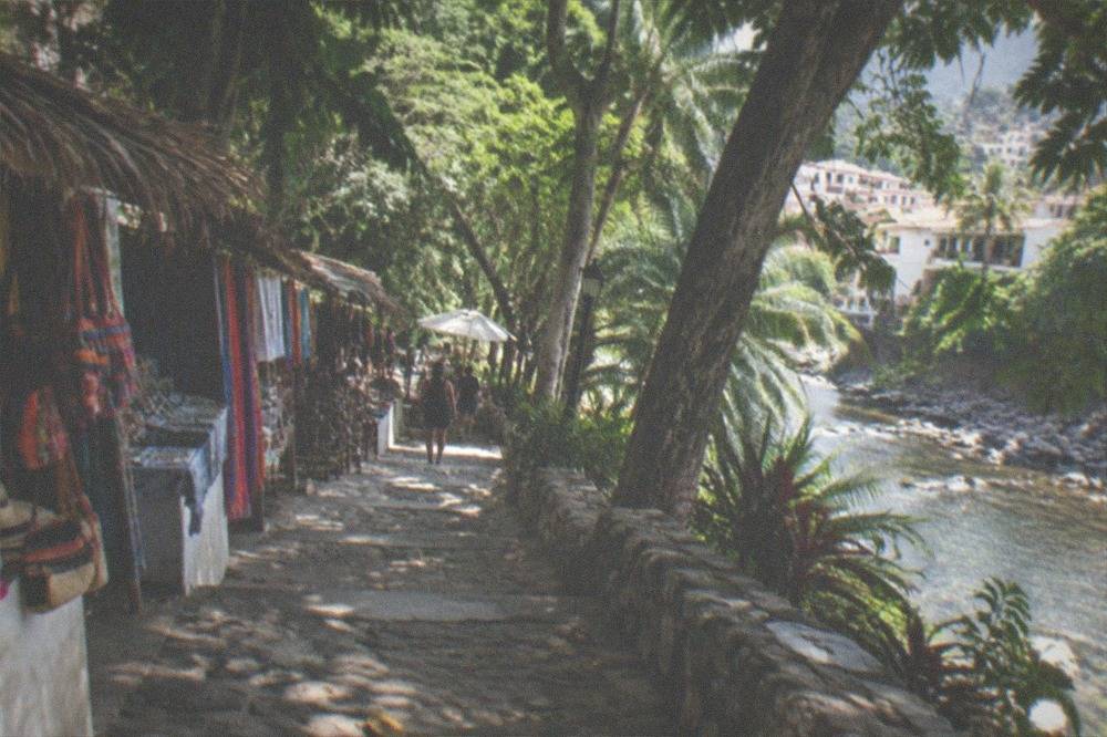 A shaded market path on a river island with colorful stalls and tropical trees