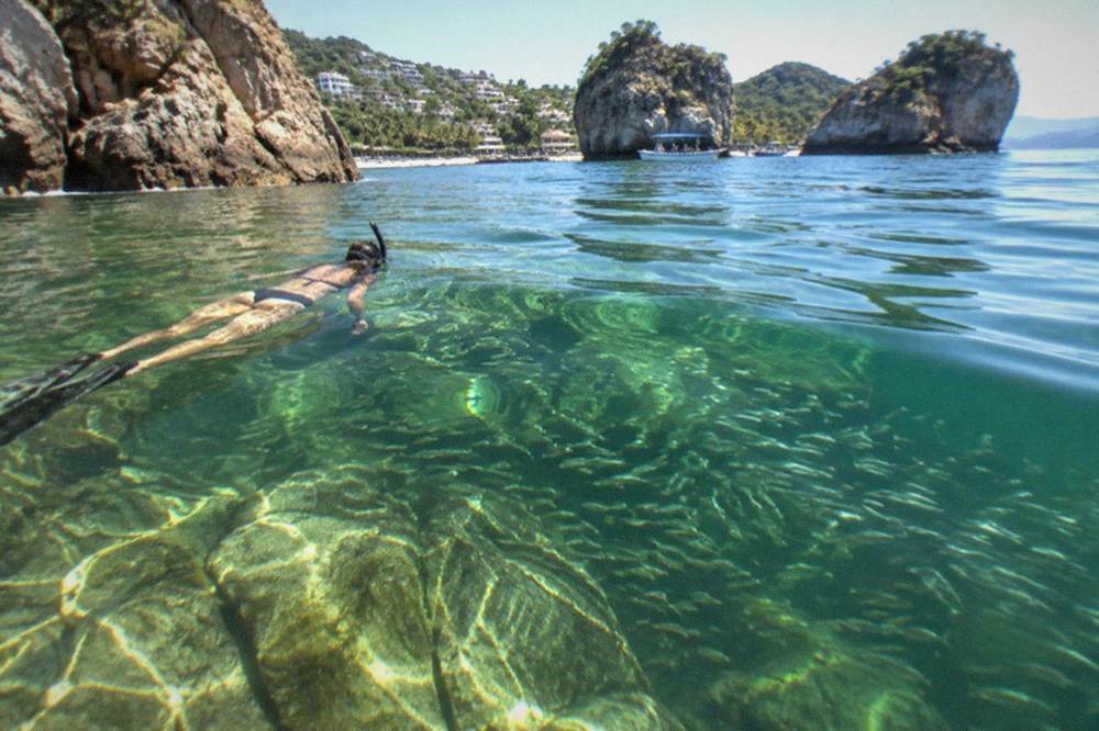Snorkeler floating above a rocky reef with schools of small fish in clear green water