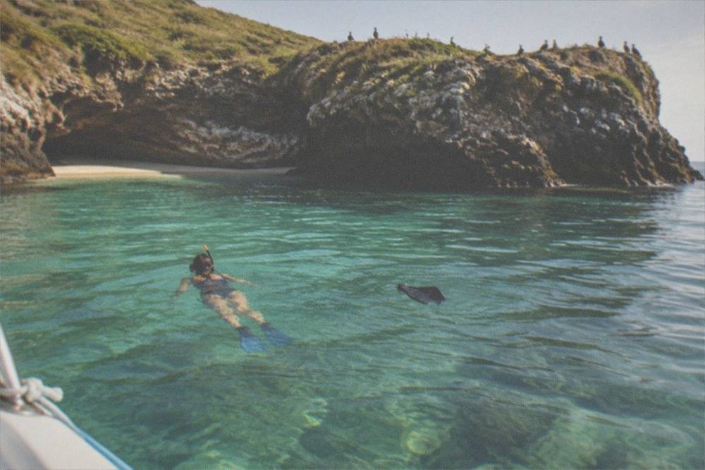 Snorkeler floating above clear water near a protected island shoreline