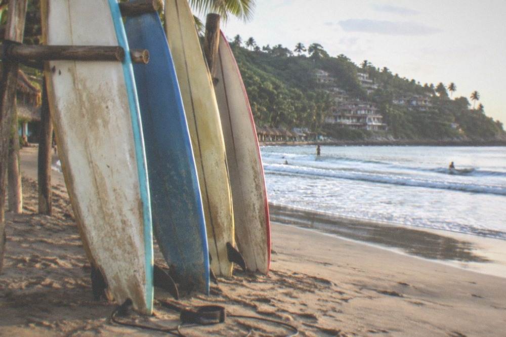 Surfboards standing upright in sand near gentle breaking waves