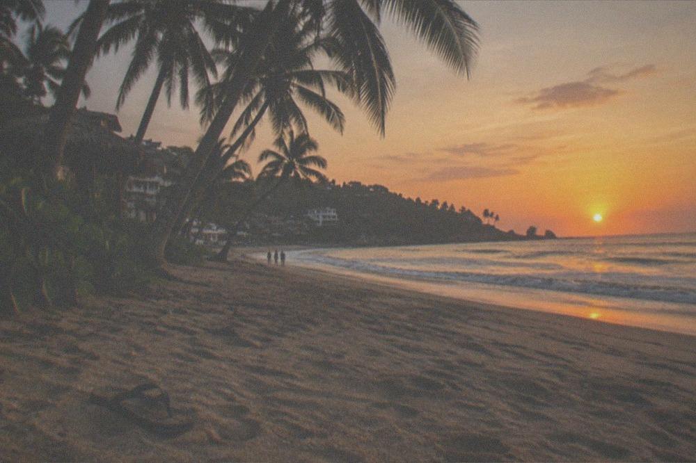 Palm-lined beach at sunset with gentle waves along the shore