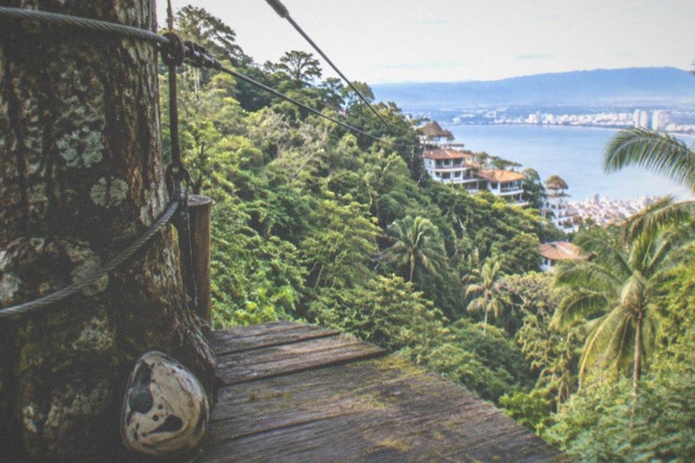 Wooden zipline platform built against a tall jungle tree with cables running into the canopy