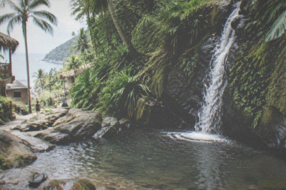 A jungle waterfall spilling into a rocky pool surrounded by dense green foliage